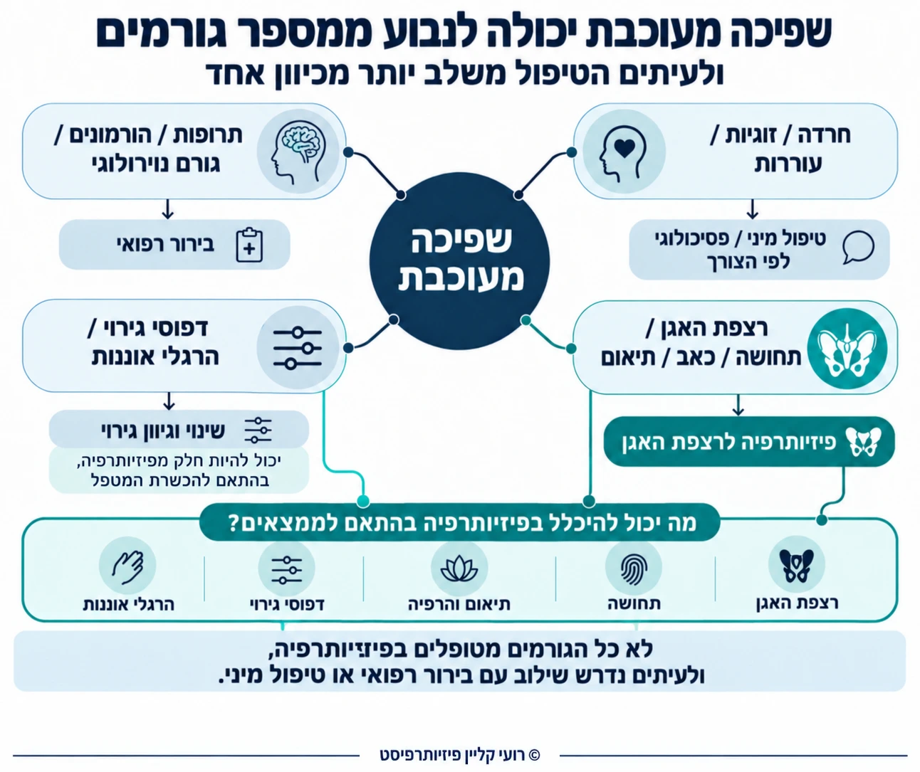 תרשים הגורמים האפשריים לשפיכה מעוכבת: תרופות והורמונים, חרדה וזוגיות, דפוסי גירוי ואוננות ורצפת האגן, ולצד כל אחד מהם כיוון הטיפול המתאים