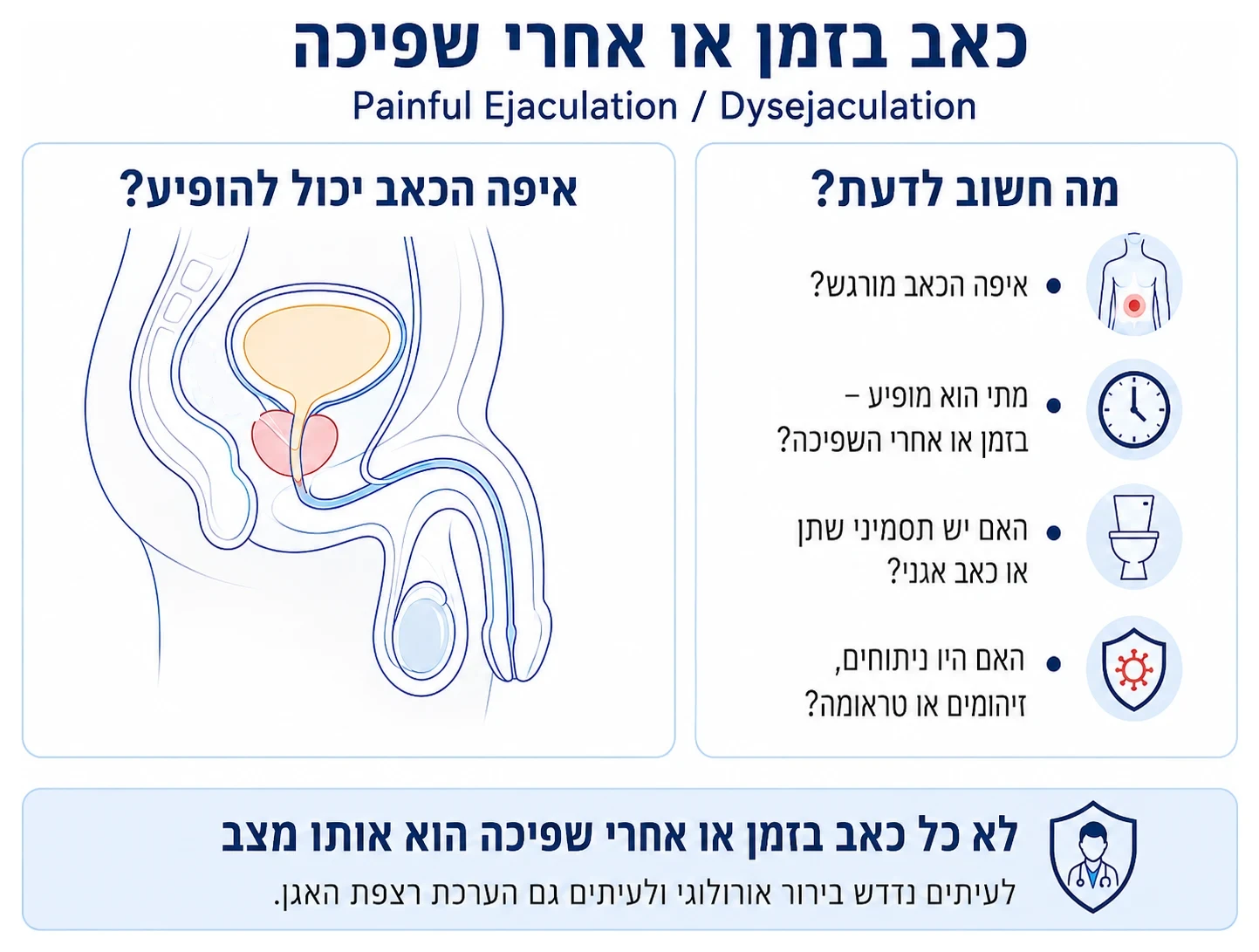 איור אנטומי של אגן הגבר בתצוגה צדית ובו מסומנים ששת האזורים שבהם עשוי להופיע כאב בזמן או אחרי שפיכה: פרינאום, הפין והשופכה, ראש הפין, האזור שמעל עצם החיק, האשכים ואזור פי הטבעת